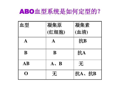 四大血型之间是何种辅佐关系?