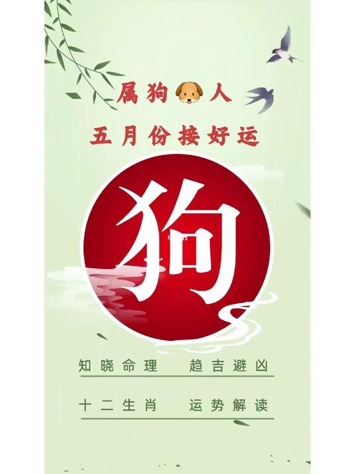 属狗的人上半年会迎来什么好运