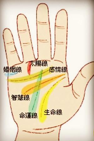 手掌中最重要的五条线纹