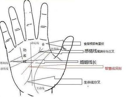 手相 婚姻线,手相透露你的结婚时间