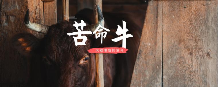 1973牛命晚年很苦