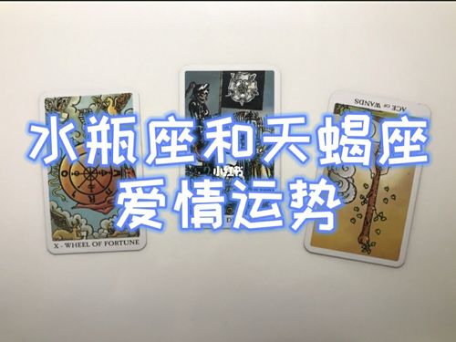 水瓶与天蝎宿命