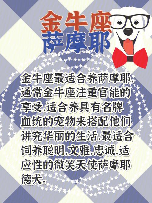聊天透露12星座的企图心