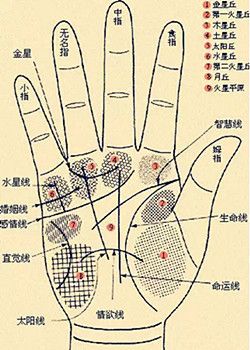 男子手如绵的命运分析