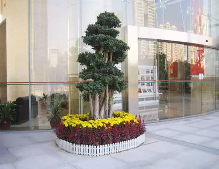 店门口植物摆放禁忌