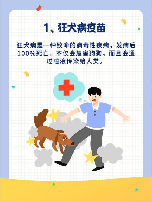 宠物狗疫苗叫什么名字