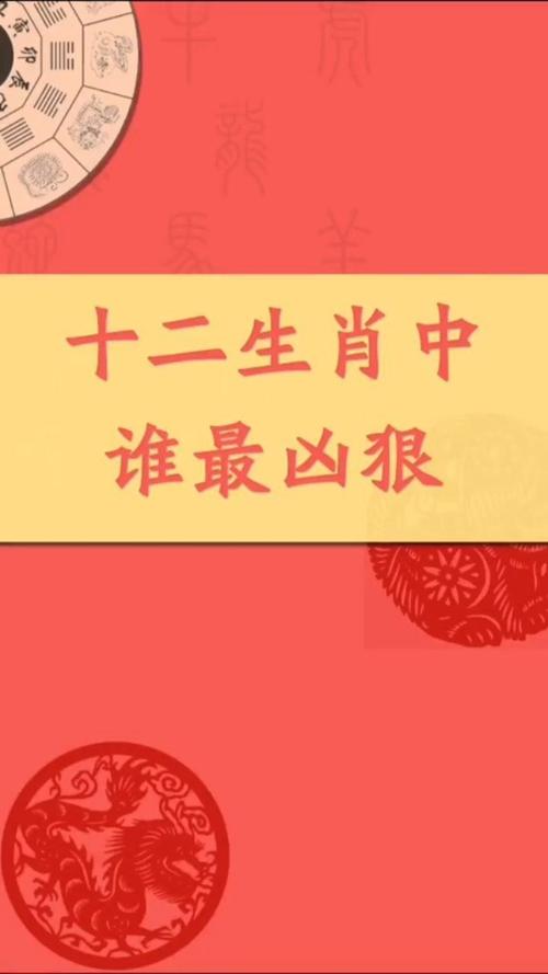 谁都不敢惹的属相都是谁