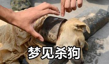 梦见错杀狗