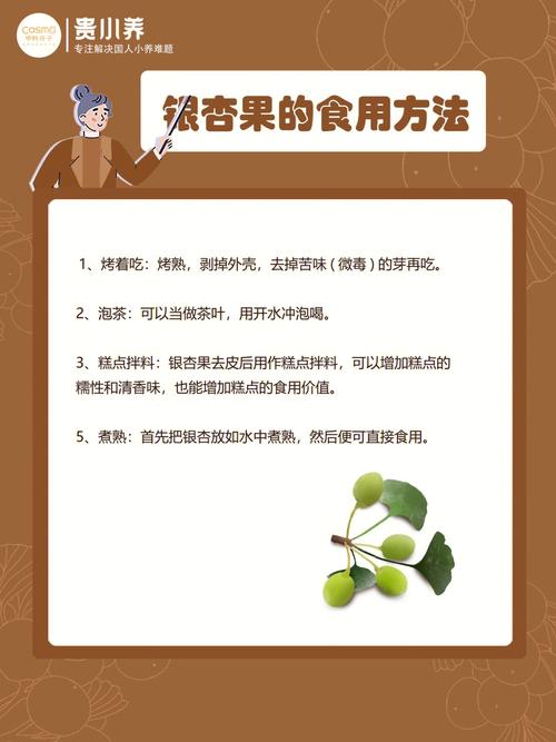 梦见白果