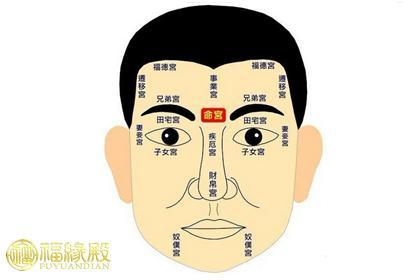 面相解析,看你靠什么方法发财