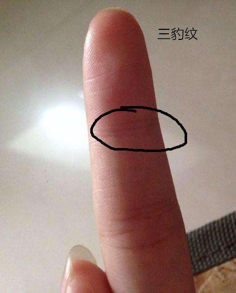 食指指节纹手相