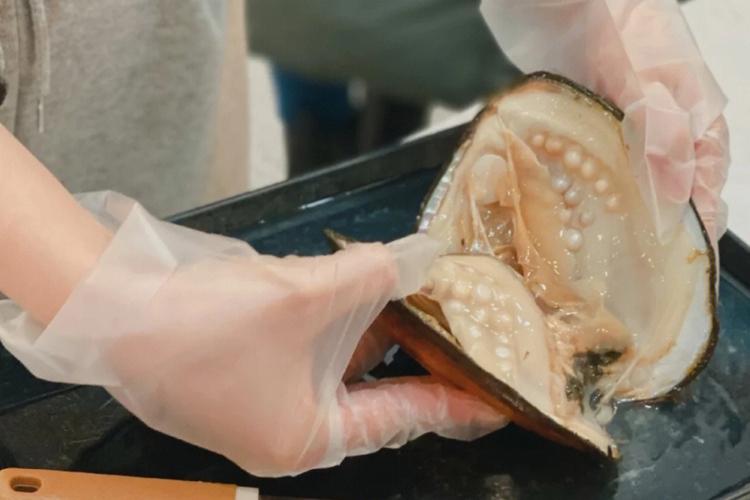 梦见从蚌里取出珍珠