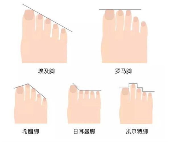 二拇脚趾头长有啥说法