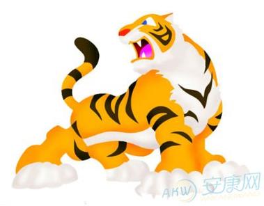 属虎的忌讳什么属相