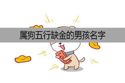 五行属金的生肖狗宝宝名字