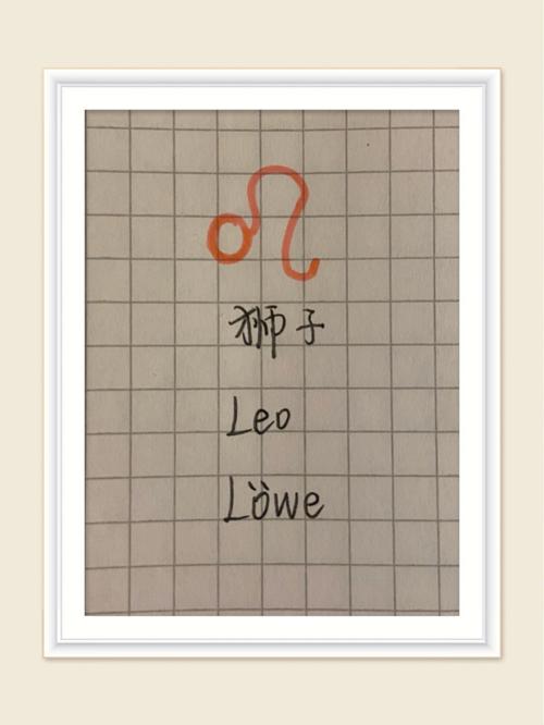 关于观察星座的日记