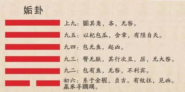 六爻八卦占卜证件何时能到得鼎之姤卦