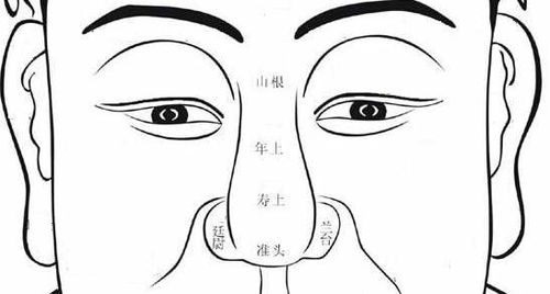 好命与否一看便知:看鼻子知你有没有好命