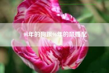男鼠女狗结婚如何