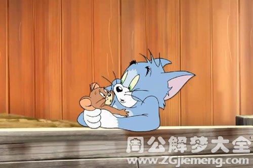 梦见猫和老鼠一起玩
