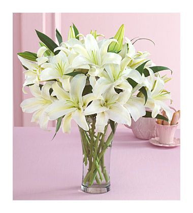 9枝白色香水百合的花语是什么?