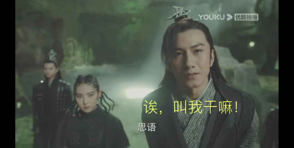 属蛇人最爱看什么电视剧?