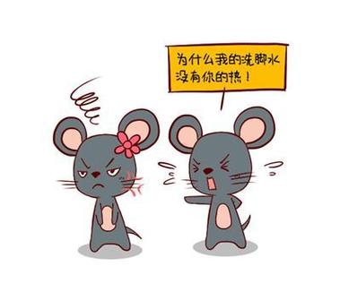 属鼠为什么不怕跟恋人冷战
