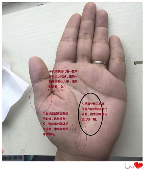 十二种富贵手相的特征