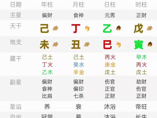 乙巳日柱男运势如何