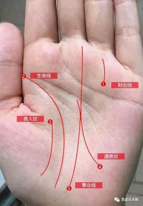 “禄勋”暗中帮助