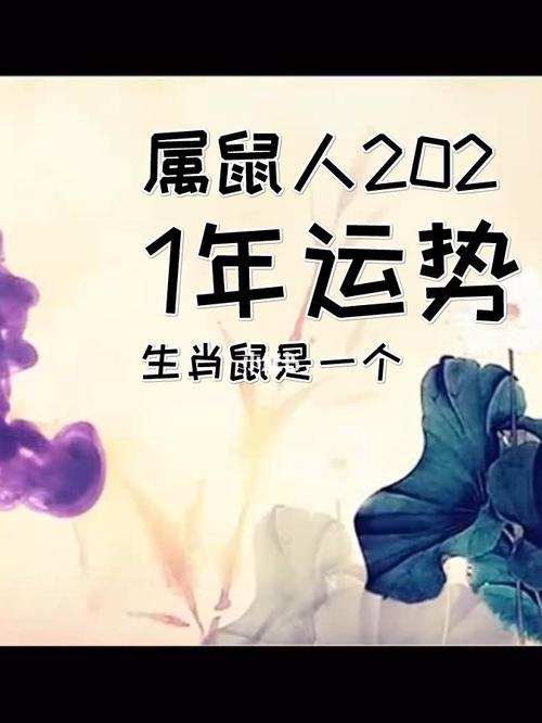 属鼠下半年运势大全2021