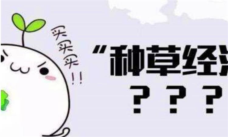 梦见种草是什么意思