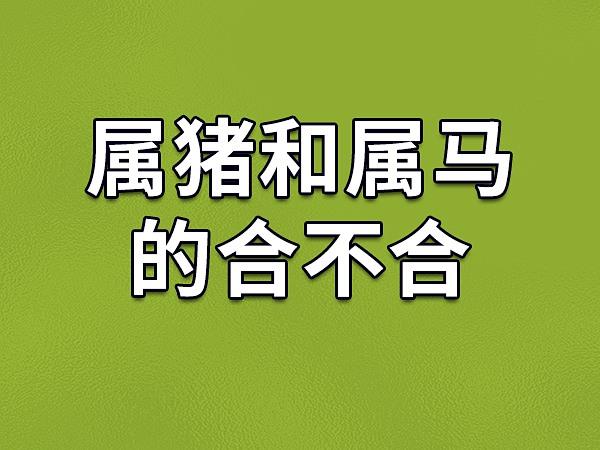 男马女猪婚姻怎么样?属猪几月结婚最好?