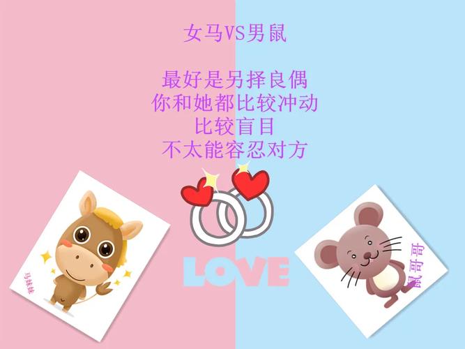 婚后与属鼠配偶的相处技巧