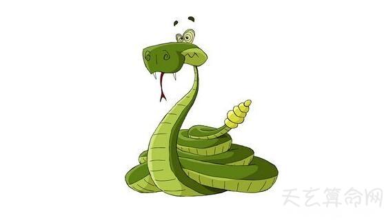 属鸡的人的生肖贵人是什么属相?龙蛇牛