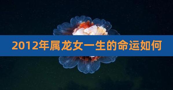 2012年属龙女命运如何