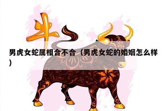 属虎的人和属蛇的人相配吗?