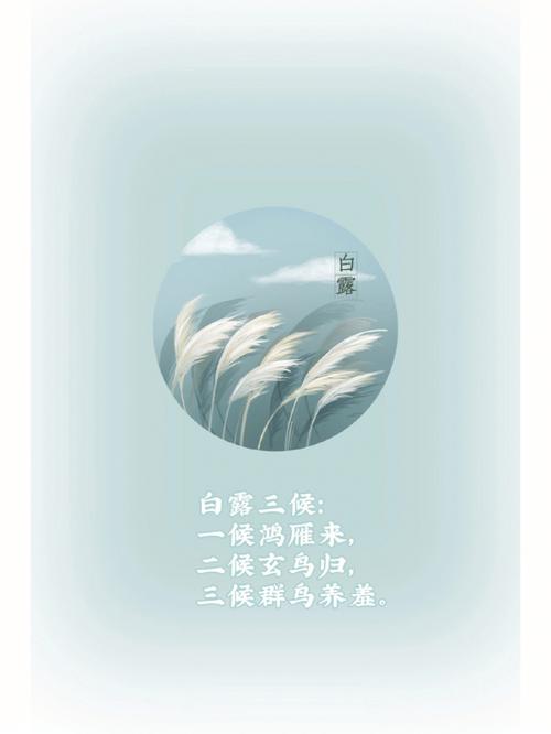白露是吉日吗 白露吉利吗