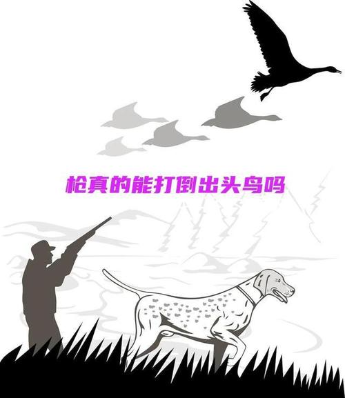 梦见朋友用枪打了一只鸟