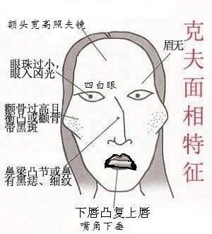 美食鉴赏家与有口福的人面相体相特点
