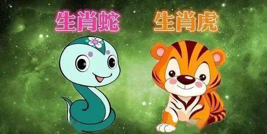 财运却越旺,两个生肖结婚经常吵架