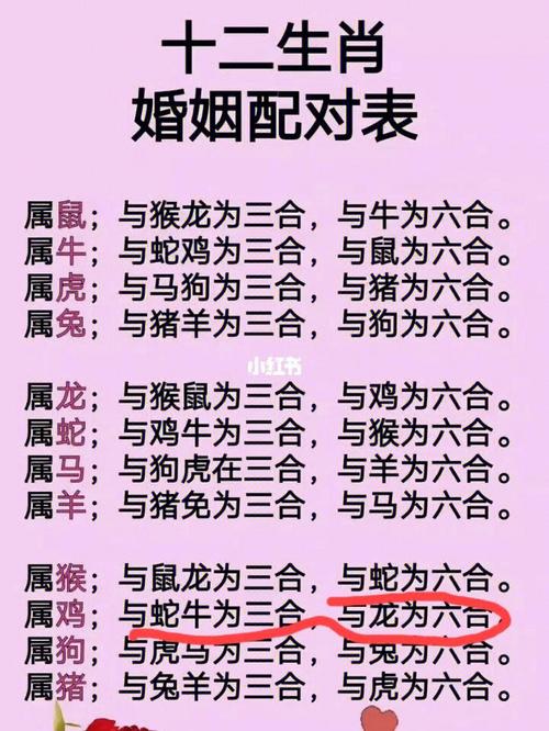 生肖属相婚配大全