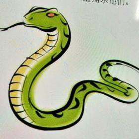生肖蛇难改的坏毛病