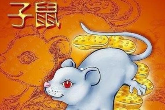 各有各命 属鼠是否好命