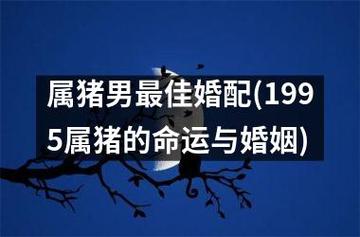 属猪人婚配