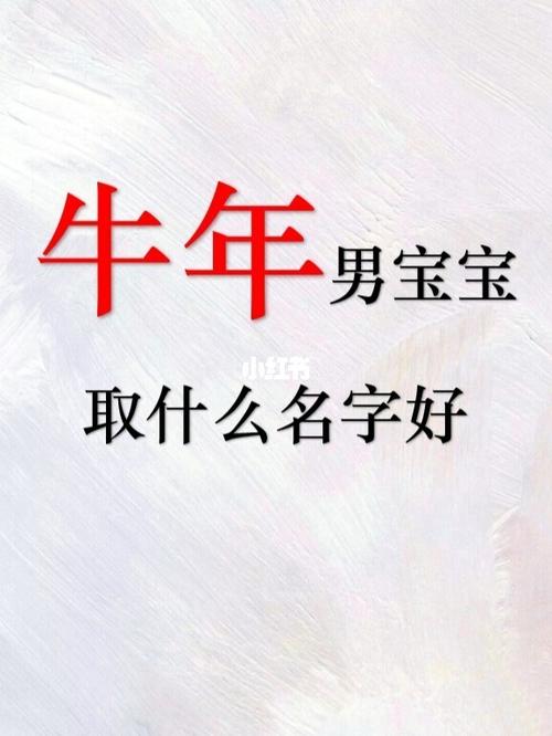牛年为了孩子必须要懂生肖起名