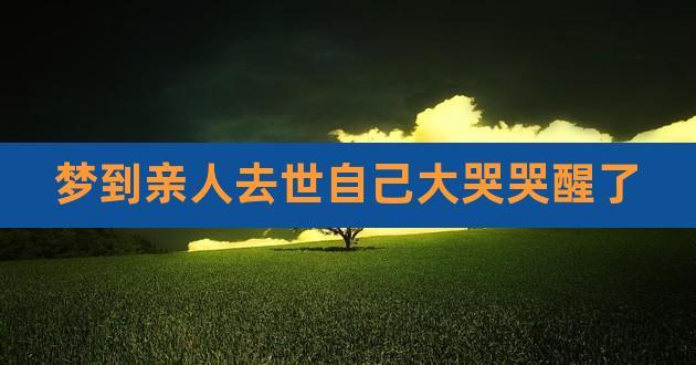梦见哭死去的亲人