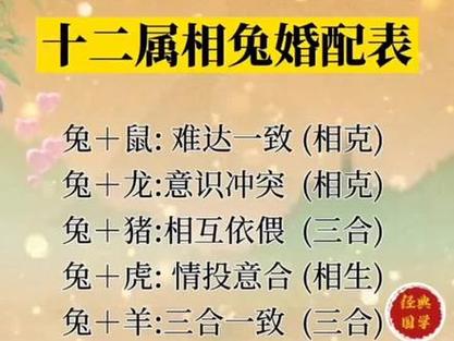 兔属相都是哪几年