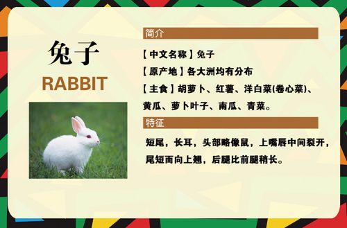兔的文化趣谈 兔子的历史文化