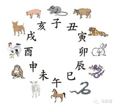 12生肖谁最理智 处理问题能理智的生肖